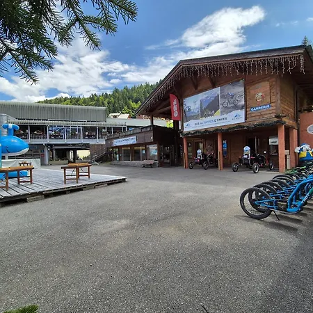 Apartment Deux Combinables - Proche Remontee Mecaniques - Morzine- 12 Personnes- Etoile 1&2